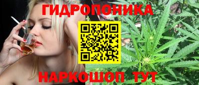 PSILOCYBIN Кунгур