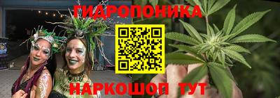 PSILOCYBIN Кунгур