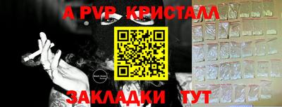PSILOCYBIN Кунгур