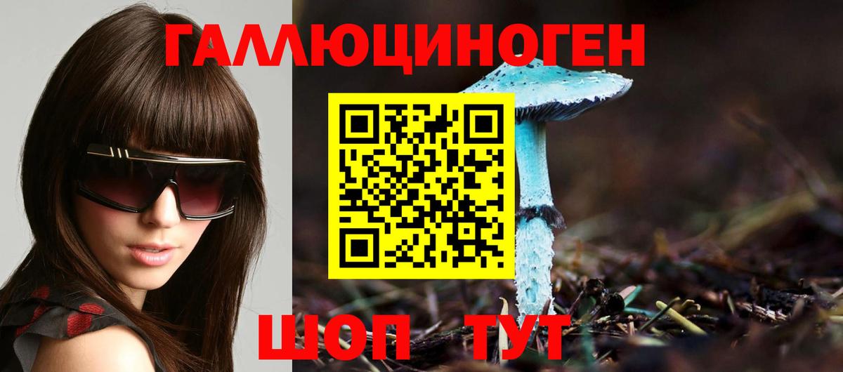 Псилоцибиновые грибы Psilocybe  Вход с VPN  Еманжелинск 